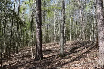 277 Philadelphia Church Road, Ellenboro, NC 28040 - Photo 30