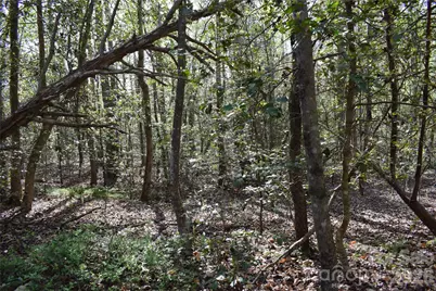 277 Philadelphia Church Road, Ellenboro, NC 28040 - Photo 18