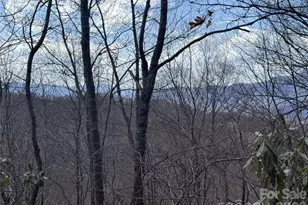 81 Boardinghouse Wy, Sylva, NC 28779 - Photo 1