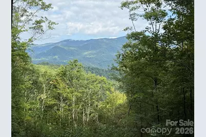 Lt 262 Tote Road #262, Sylva, NC 28779 - Photo 4