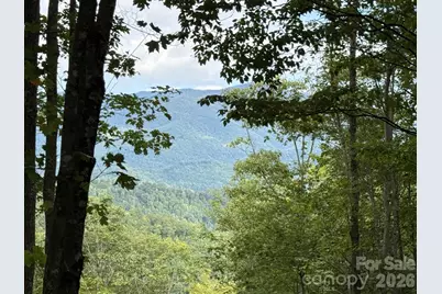 Lt 262 Tote Road #262, Sylva, NC 28779 - Photo 2