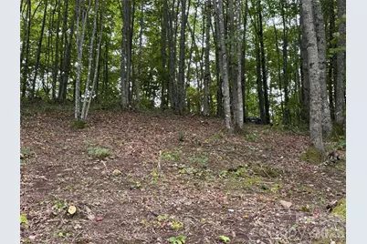 Lt 262 Tote Road #262, Sylva, NC 28779 - Photo 6