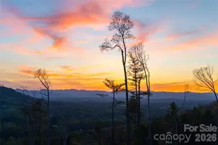 170 Bear Vw Rd, Weaverville, NC 28787 - Photo 46