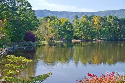 3 Leeds Lane, Black Mountain, NC 28711 - Photo 24