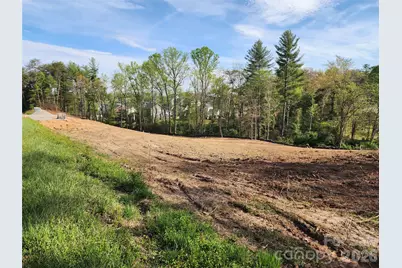 99999 Riverside Drive, Asheville, NC 28804 - Photo 2