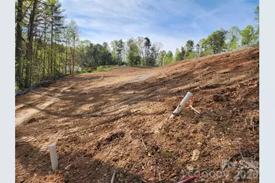 99999 Riverside Drive, Asheville, NC 28804 - Photo 8