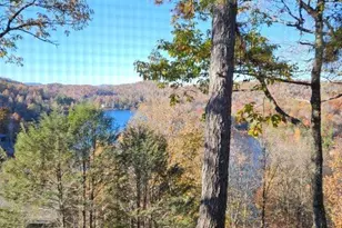 283 Tinequa Dr, Brevard, NC 28712 - Photo 4