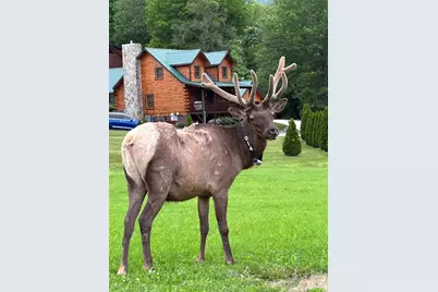 10 Onyx Lane, Maggie Valley, NC 28751 - Photo 24