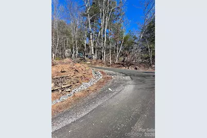 224 Riddle Road, Swannanoa, NC 28778 - Photo 12