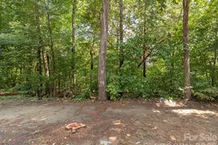 1554 Maypine Commons Way, Rock Hill, SC 29732 - Photo 46