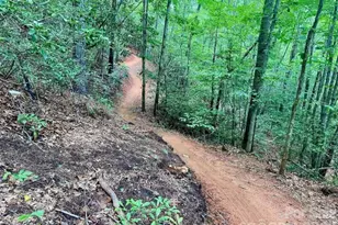 522 Old US 70 Hwy W, Old Fort, NC 28762 - Photo 36