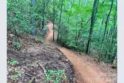 522 Old US 70 Highway, Old Fort, NC 28762 - Photo 34