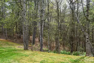 3860 Dixon Hill Pl, Lenoir, NC 28645 - Photo 8