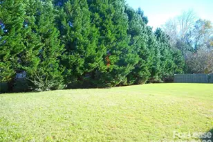 9205 Bellegarde Dr, Charlotte, NC 28277 - Photo 10