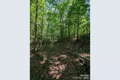 8452 Marina Lane, Catawba, NC 28609 - Photo 6