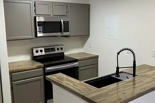 18809 Vineyard Point Ln, Cornelius, NC 28031 - Photo 4