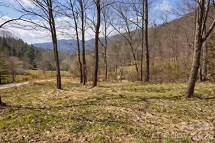 1511 Water Wheel Cove, Clyde, NC 28721 - Photo 24