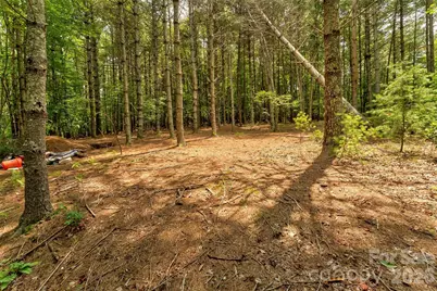 159 Deer Berry Drive #62, Nebo, NC 28761 - Photo 30