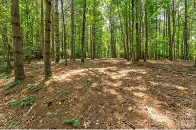 159 Deer Berry Drive #62, Nebo, NC 28761 - Photo 26