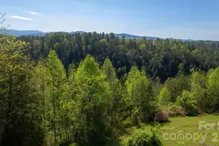100 Bend View Dr, Marshall, NC 28753 - Photo 10