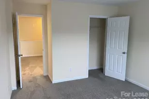 12120 Stratfield Pl Cir, Pineville, NC 28134 - Photo 16