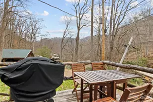 142 Cold Spring Rd, Burnsville, NC 28714 - Photo 24