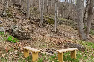 142 Cold Spring Rd, Burnsville, NC 28714 - Photo 26