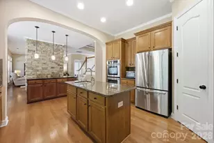 204 Black Mountain Dr, Fort Mill, SC 29708 - Photo 16