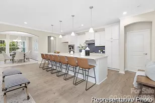 161 Bear Br Dr, Statesville, NC 28677 - Photo 2