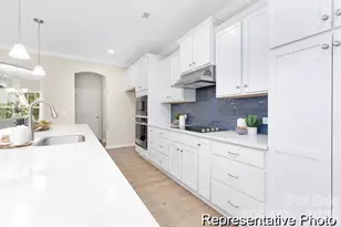 161 Bear Br Dr, Statesville, NC 28677 - Photo 4