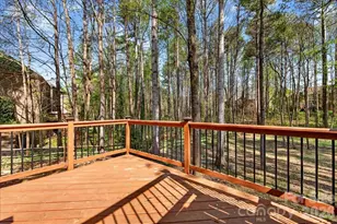 12532 Overlook Mountain Dr, Charlotte, NC 28216 - Photo 44