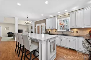 12532 Overlook Mountain Dr, Charlotte, NC 28216 - Photo 16