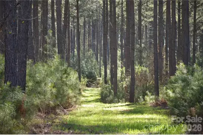 00 Peter Hawk Creek Road #12, Jonesville, SC 29353 - Photo 4