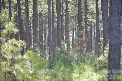 00 Peter Hawk Creek Road #12, Jonesville, SC 29353 - Photo 14