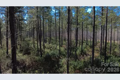 00 Peter Hawk Creek Road #12, Jonesville, SC 29353 - Photo 10