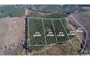 00 Peter Hawk Creek Rd, Jonesville, SC 29353 - Photo 1