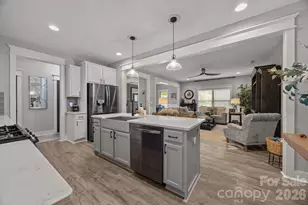927 Canopy Fls Ln, York, SC 29745 - Photo 4