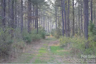 00 Peter Hawk Creek Road #14, Jonesville, SC 29353 - Photo 6