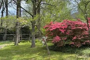 15 Meadow Ln, Fairview, NC 28730 - Photo 36