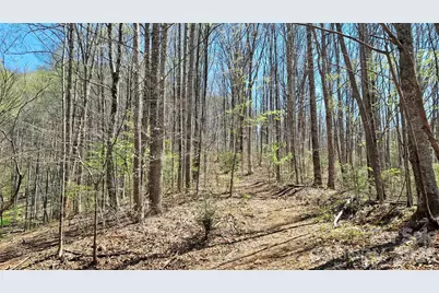 00 Maynor Drive, Sylva, NC 28779 - Photo 2