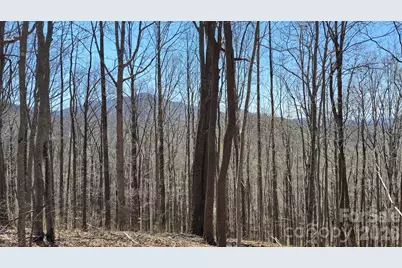 00 Maynor Drive, Sylva, NC 28779 - Photo 28