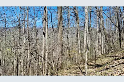 00 Maynor Drive, Sylva, NC 28779 - Photo 10