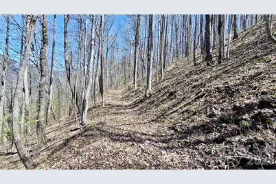 00 Maynor Drive, Sylva, NC 28779 - Photo 14