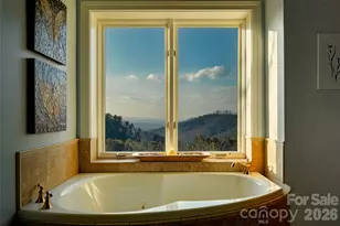 8 Timberwolf Ct, Asheville, NC 28804 - Photo 22