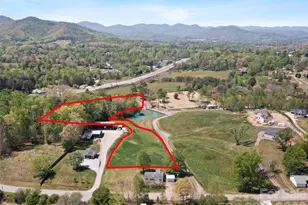 60 Dix Creek Chapel Rd, Asheville, NC 28806 - Photo 22