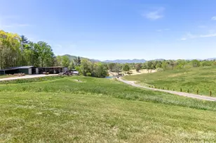 60 Dix Creek Chapel Rd, Asheville, NC 28806 - Photo 18