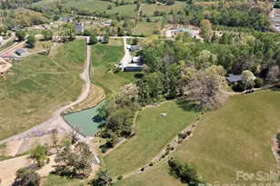 60 Dix Creek Chapel Rd, Asheville, NC 28806 - Photo 24