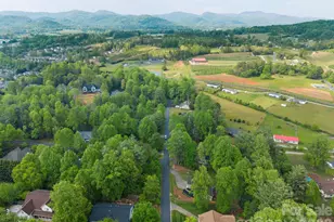 112 Chestnut Ln, Hendersonville, NC 28792 - Photo 44