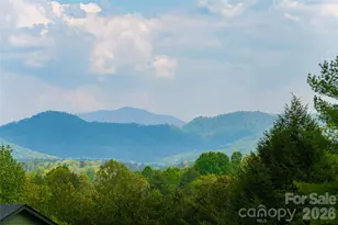 19 Ginger Spice Trail, Weaverville, NC 28787 - Photo 42