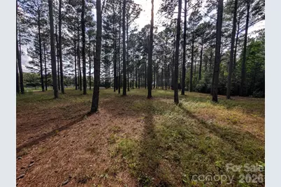 0000 Blessed Hope Road #Tract 2, York, SC 29745 - Photo 4